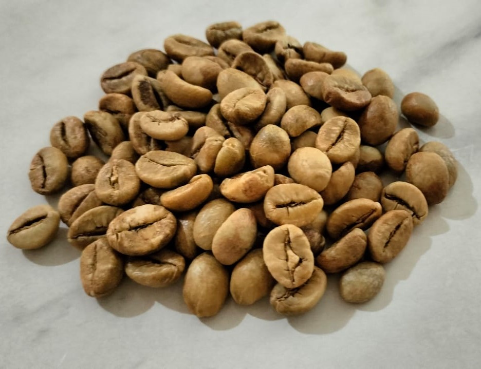 Robusta Green Beans